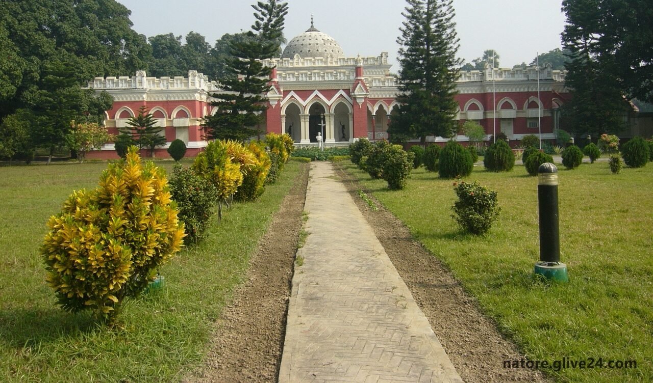 নাটোর জেলার ব্যবসা