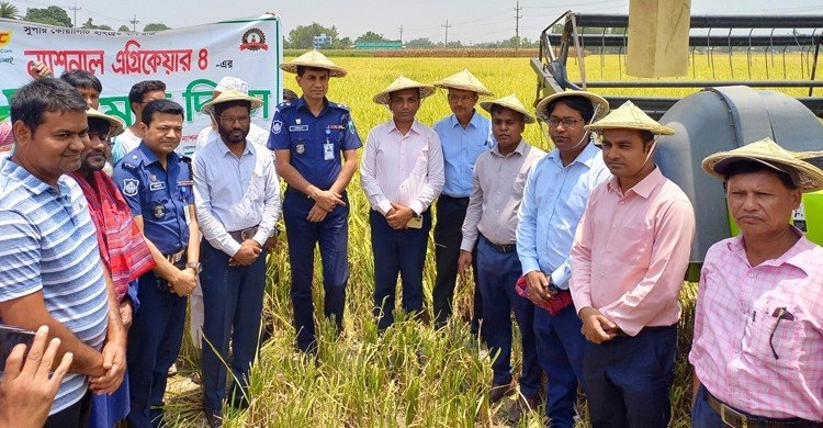 সমলয় পদ্ধতিতে বোরো চাষে বেশি ফলন পাচ্ছেন কৃষকরা